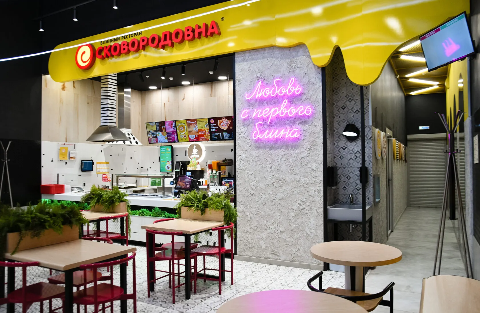«Сковородовна» с девушкой в очках: раздача, фото 1
